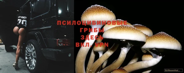 скорость Горнозаводск