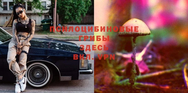 скорость Горнозаводск