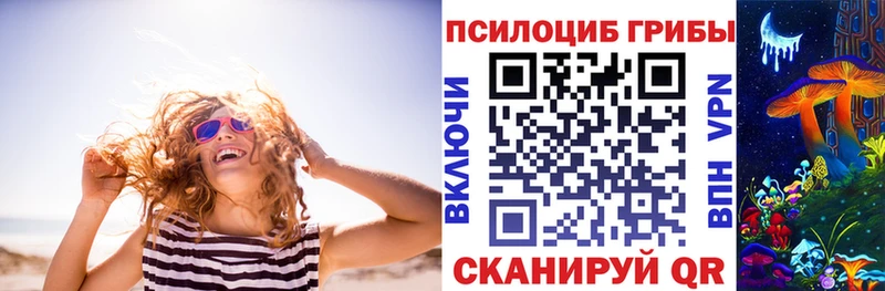купить наркоту  Подольск  Псилоцибиновые грибы прущие грибы 